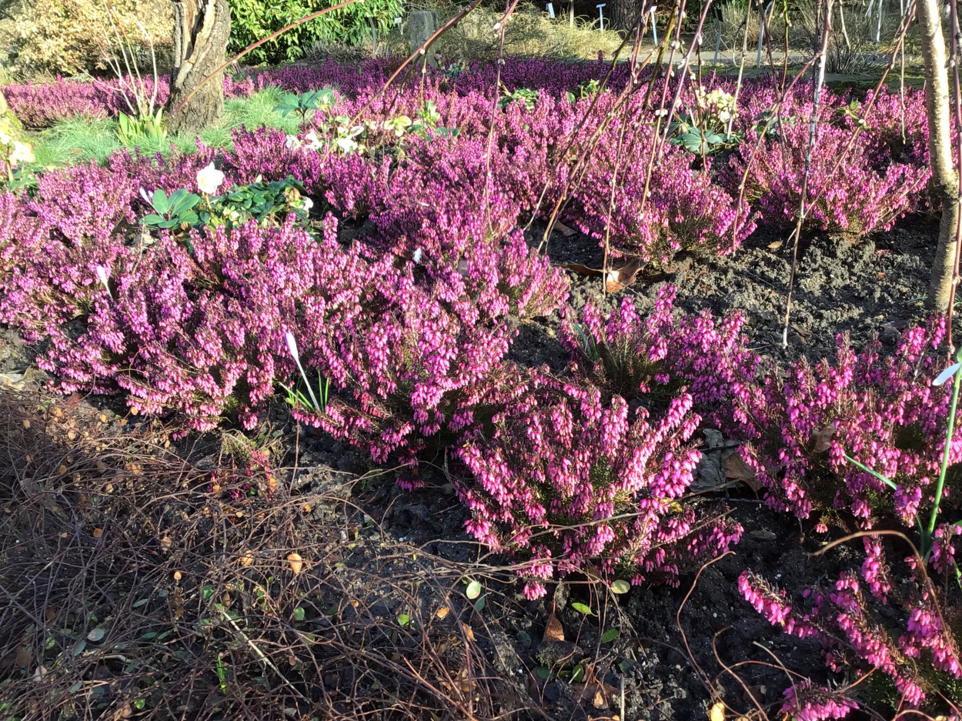 26 ghg gruene Schule 1