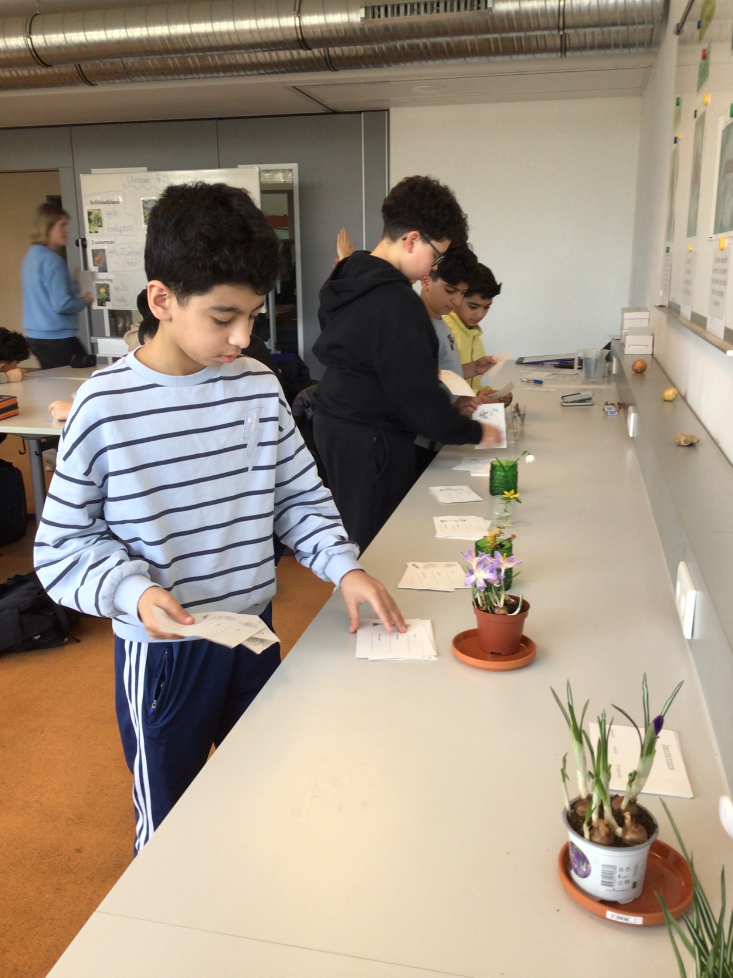 26 ghg gruene Schule 11